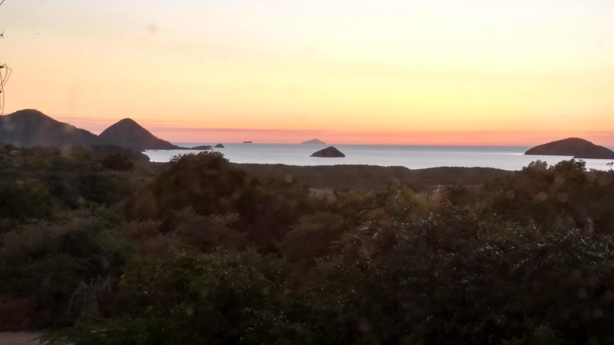 Zeus Estate Guesthouse St. John's ภายนอก รูปภาพ