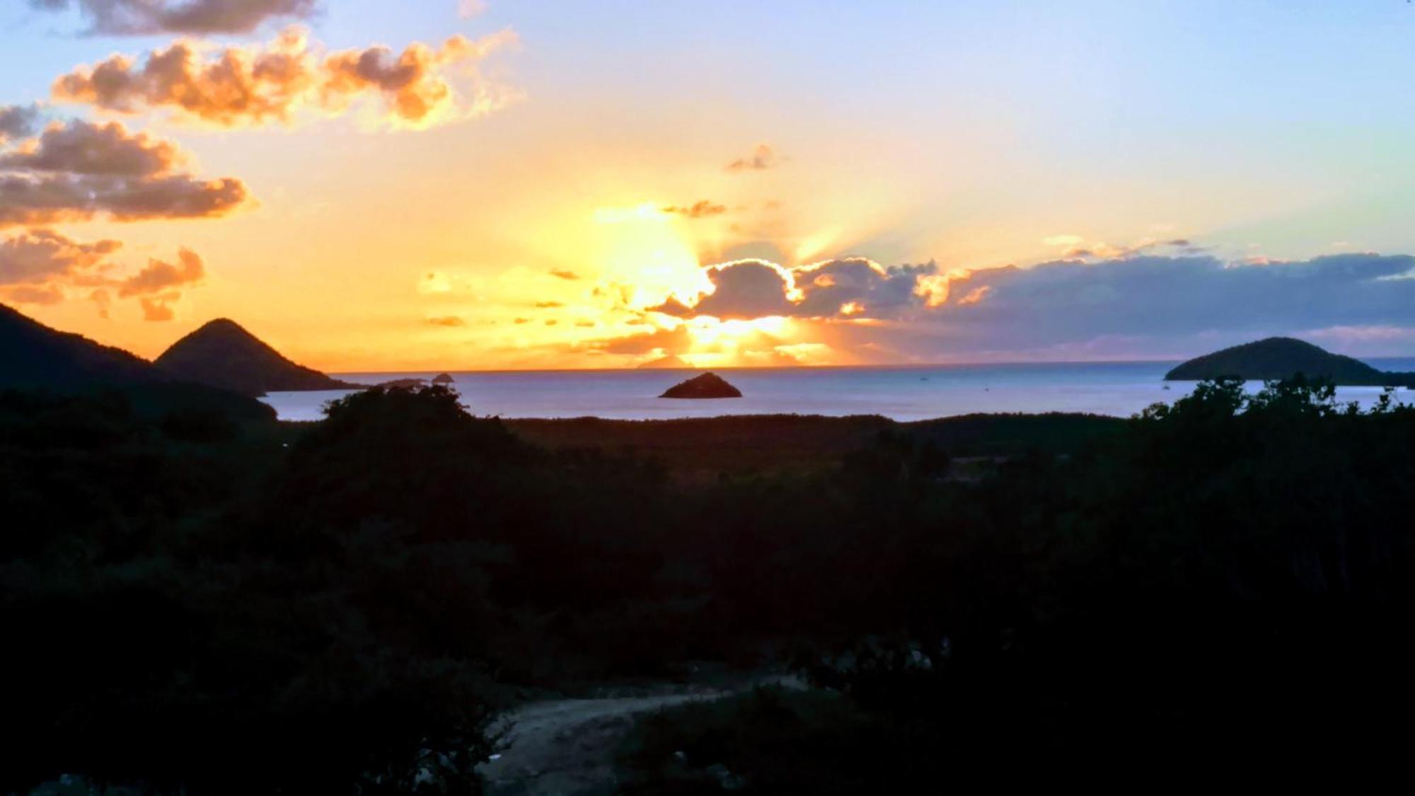 Zeus Estate Guesthouse St. John's ภายนอก รูปภาพ