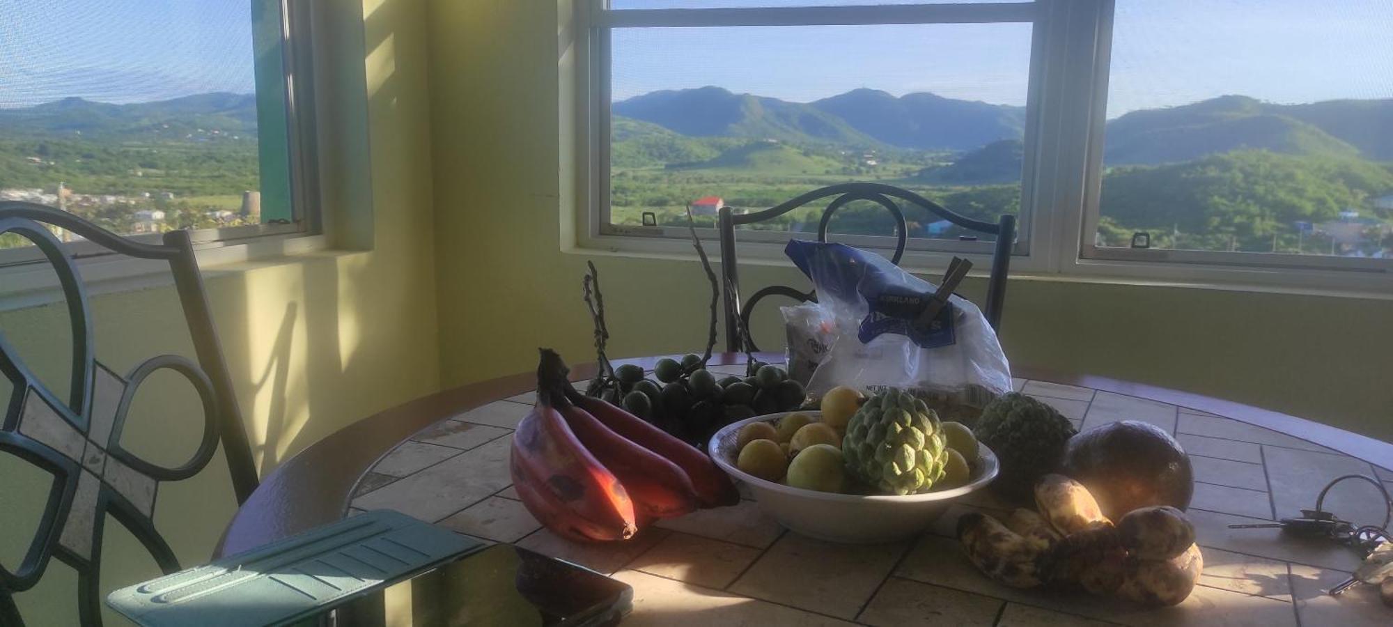 Zeus Estate Guesthouse St. John's ภายนอก รูปภาพ